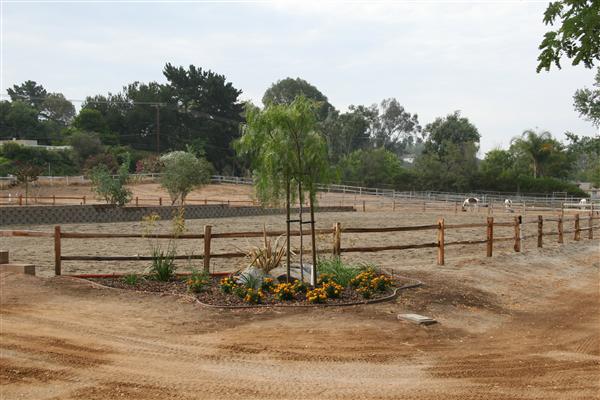 Country Club Ranch